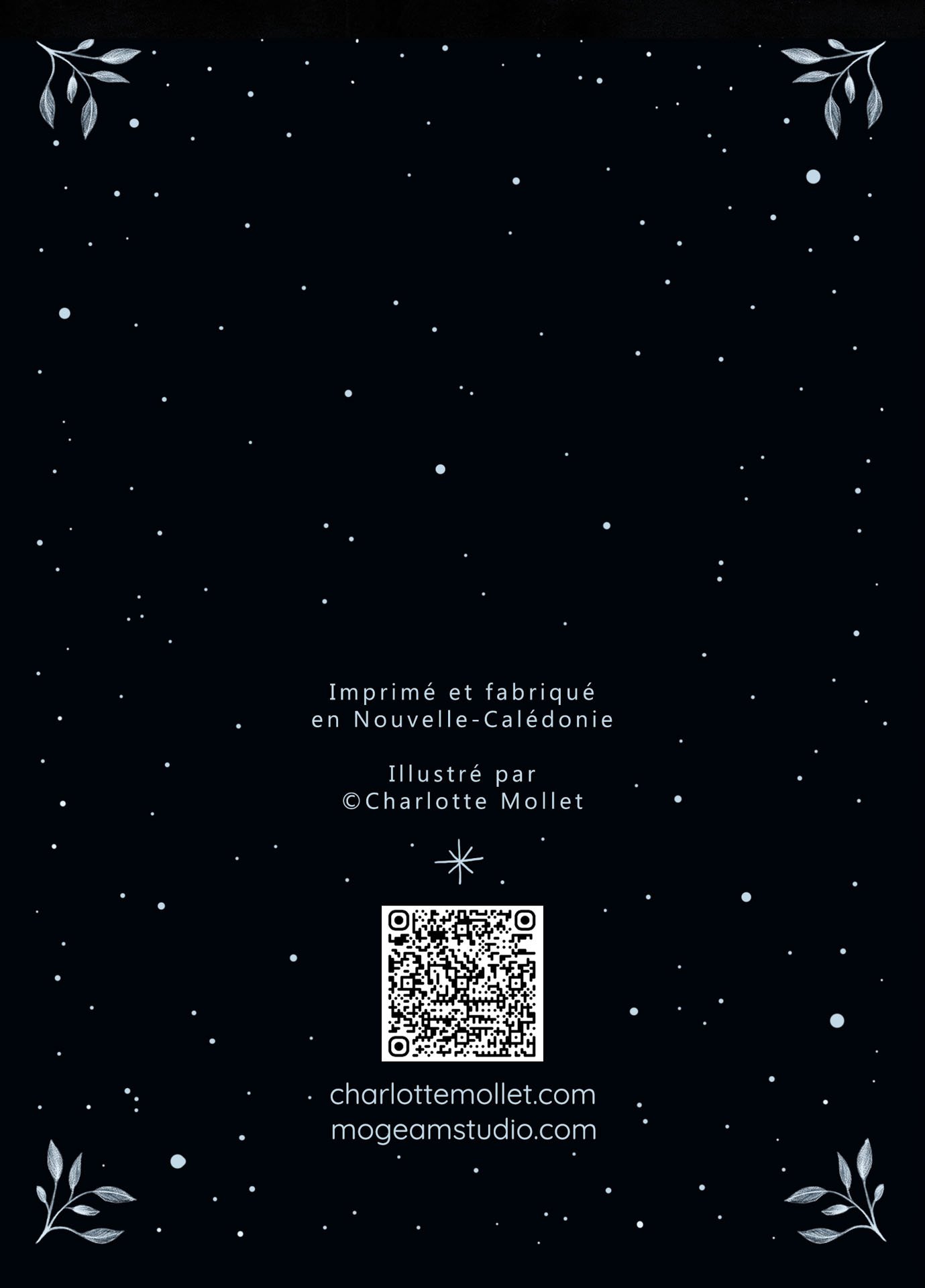 4eme de couv-02.jpg