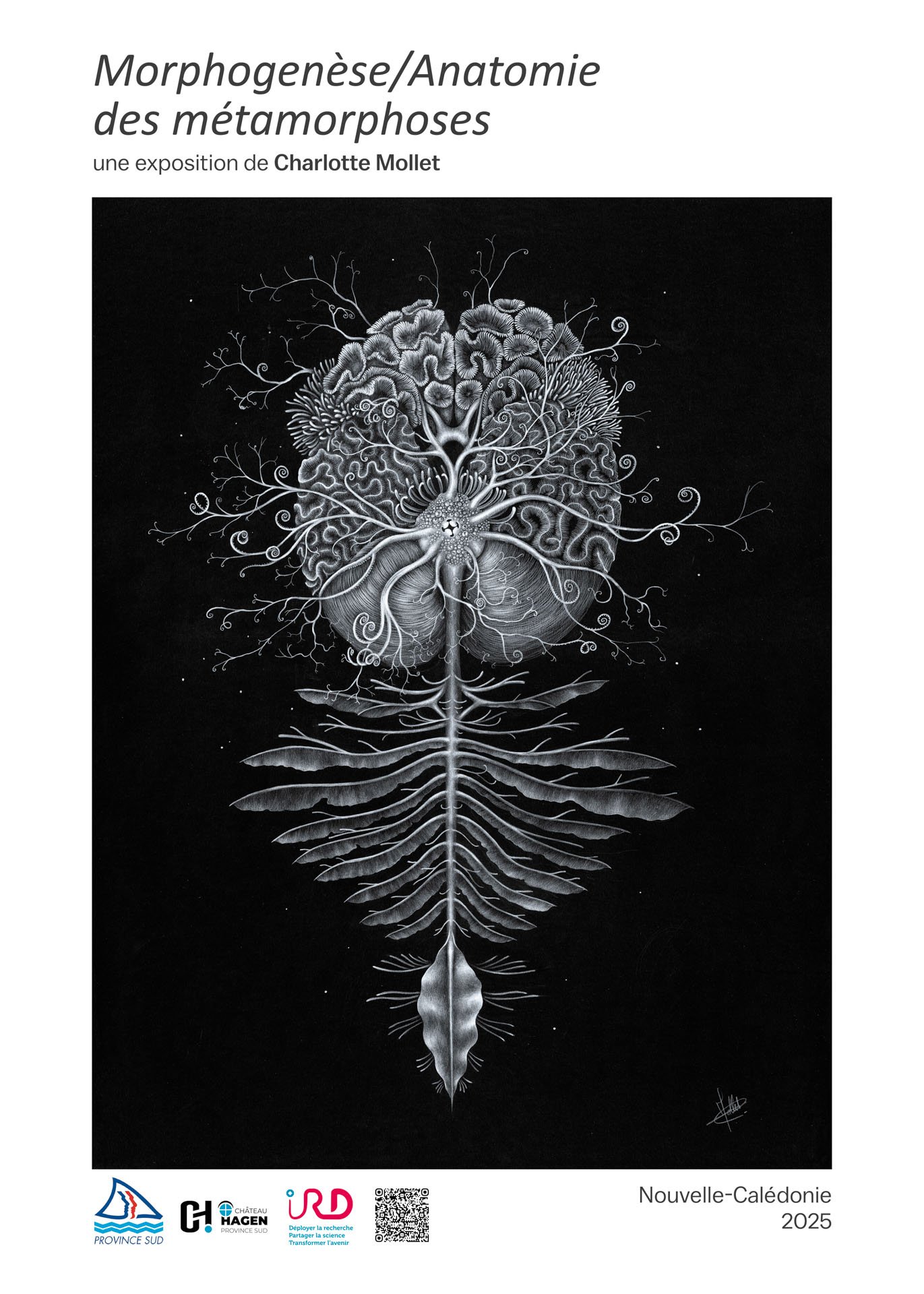 Affiche Morphogenèse " Gorgonencephali "