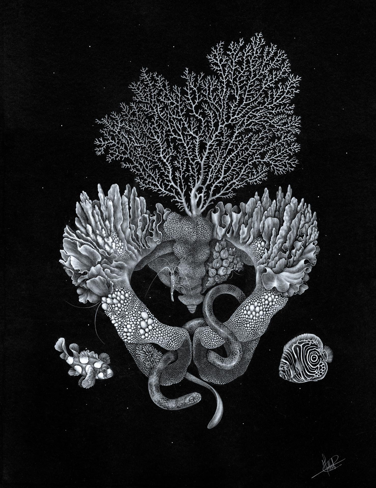 Tirage d' Art " Bassin Corallien "