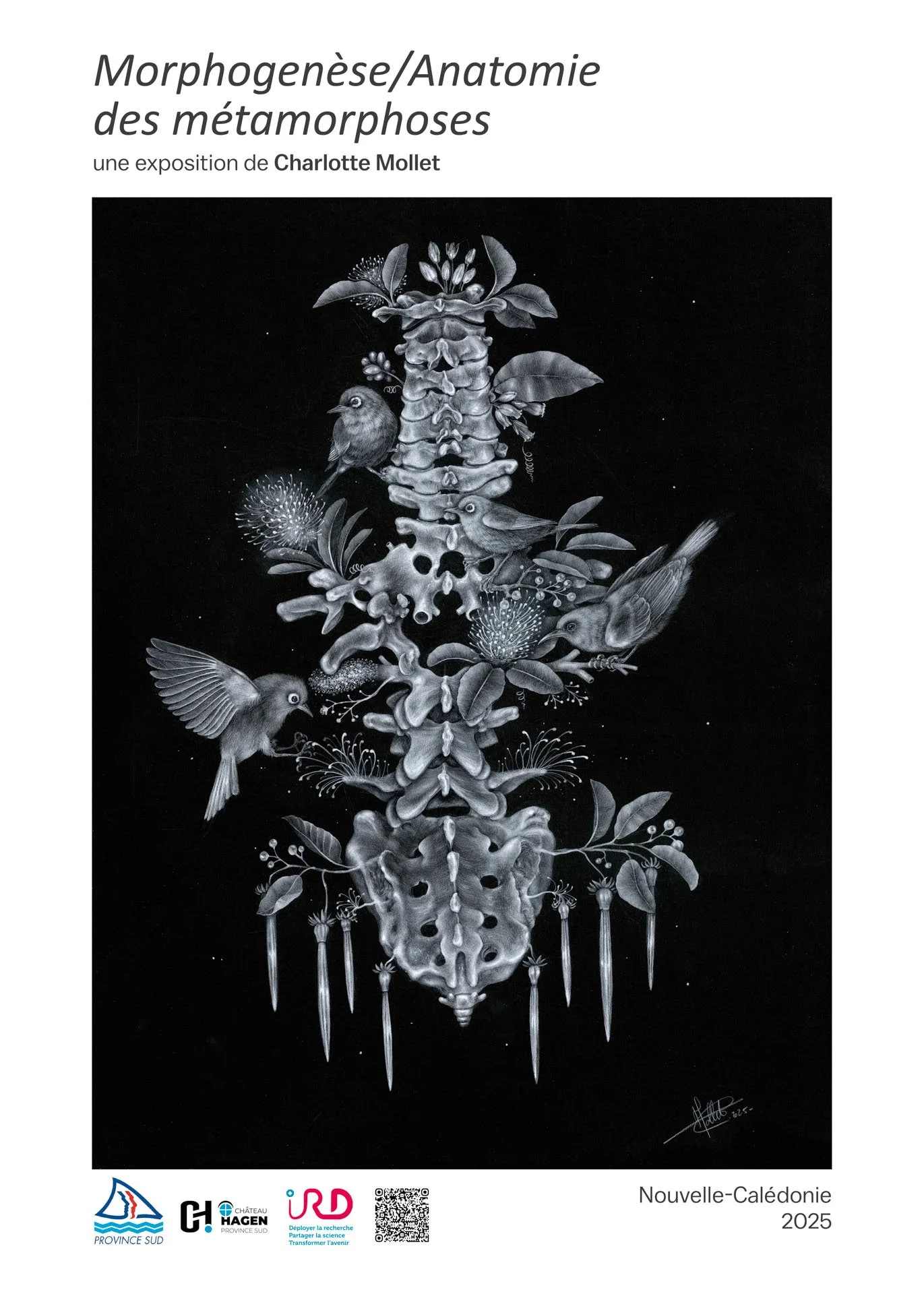 Affiche Morphogenèse " Arbor spinalis "