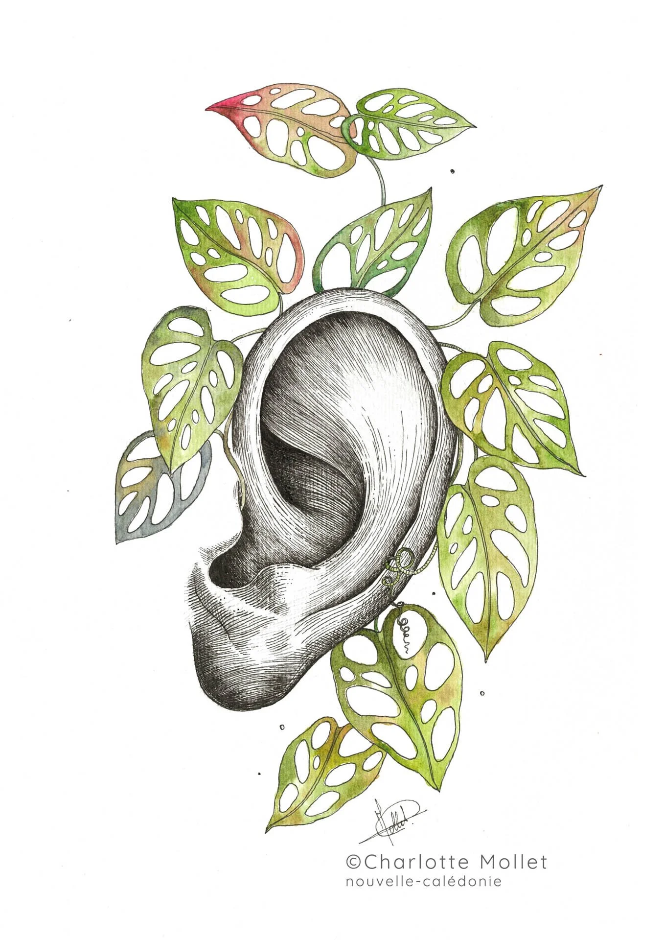 Oreille philo corrigé.jpg