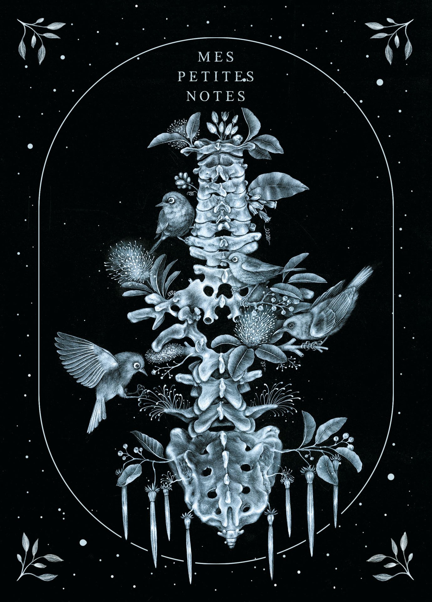 Arbor_Spinalis.jpg