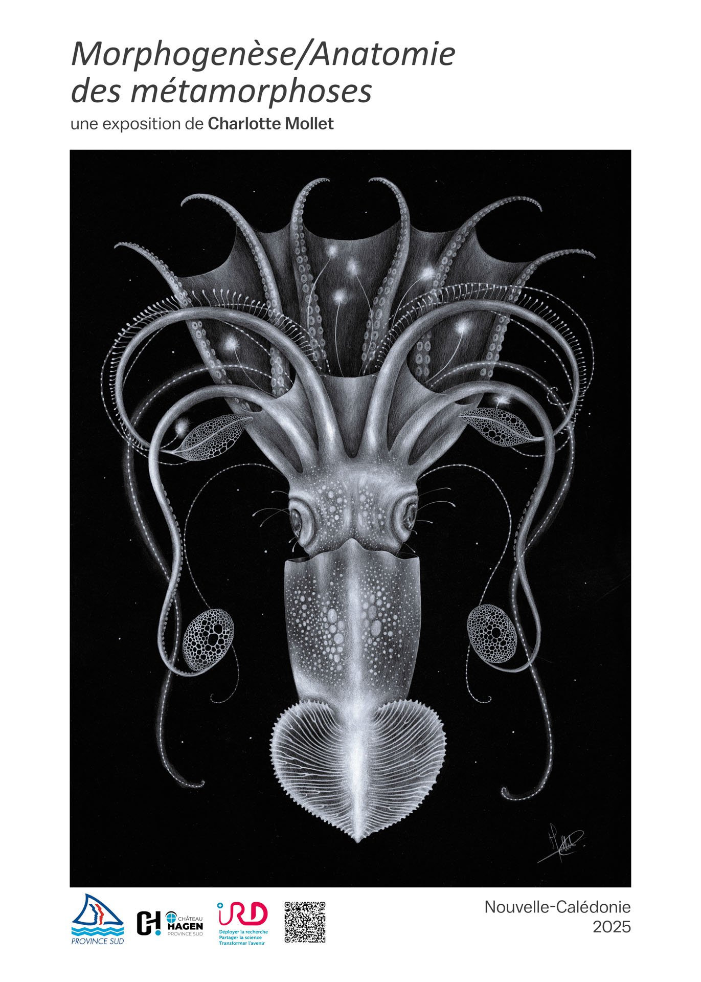 Affiche Morphogenèse "Hermaphopoda"