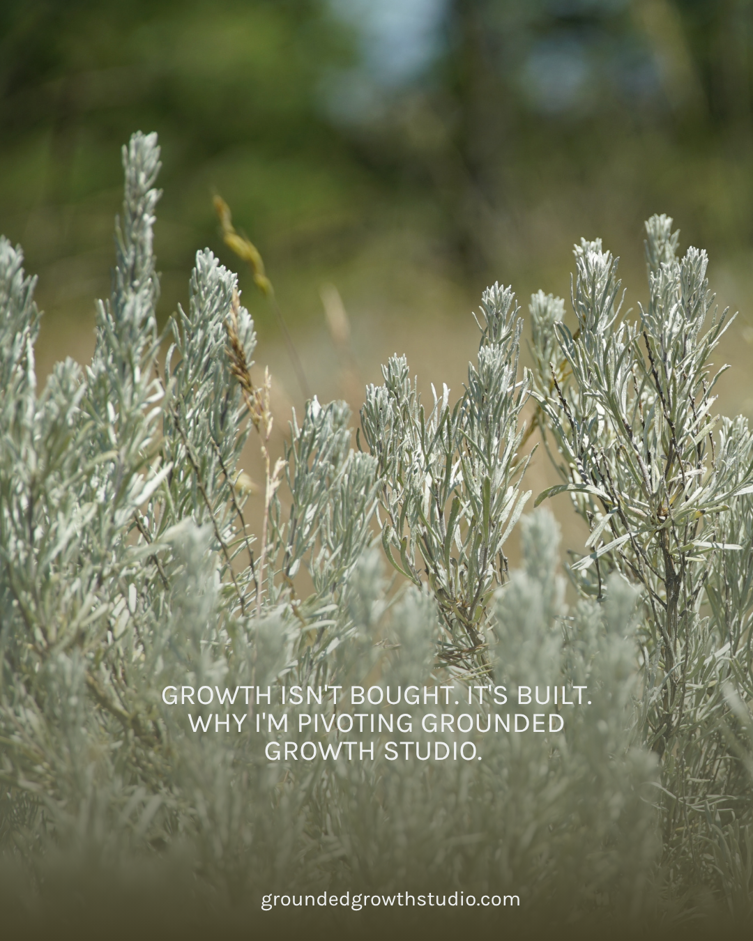 Growth Isn't Bought. It's Built. Why I'm Pivoting Grounded Growth Studio.