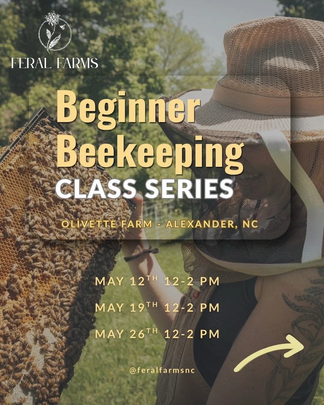 Beginner beekeeping class series starts NEXT TUESDAY May 12th at Olivette Farm in Alexander, NC! Classes will be on three consecutive Tuesdays for two hours each - two lecture based sessions and one hands-on. Head to the link in my bio to sign up! 

