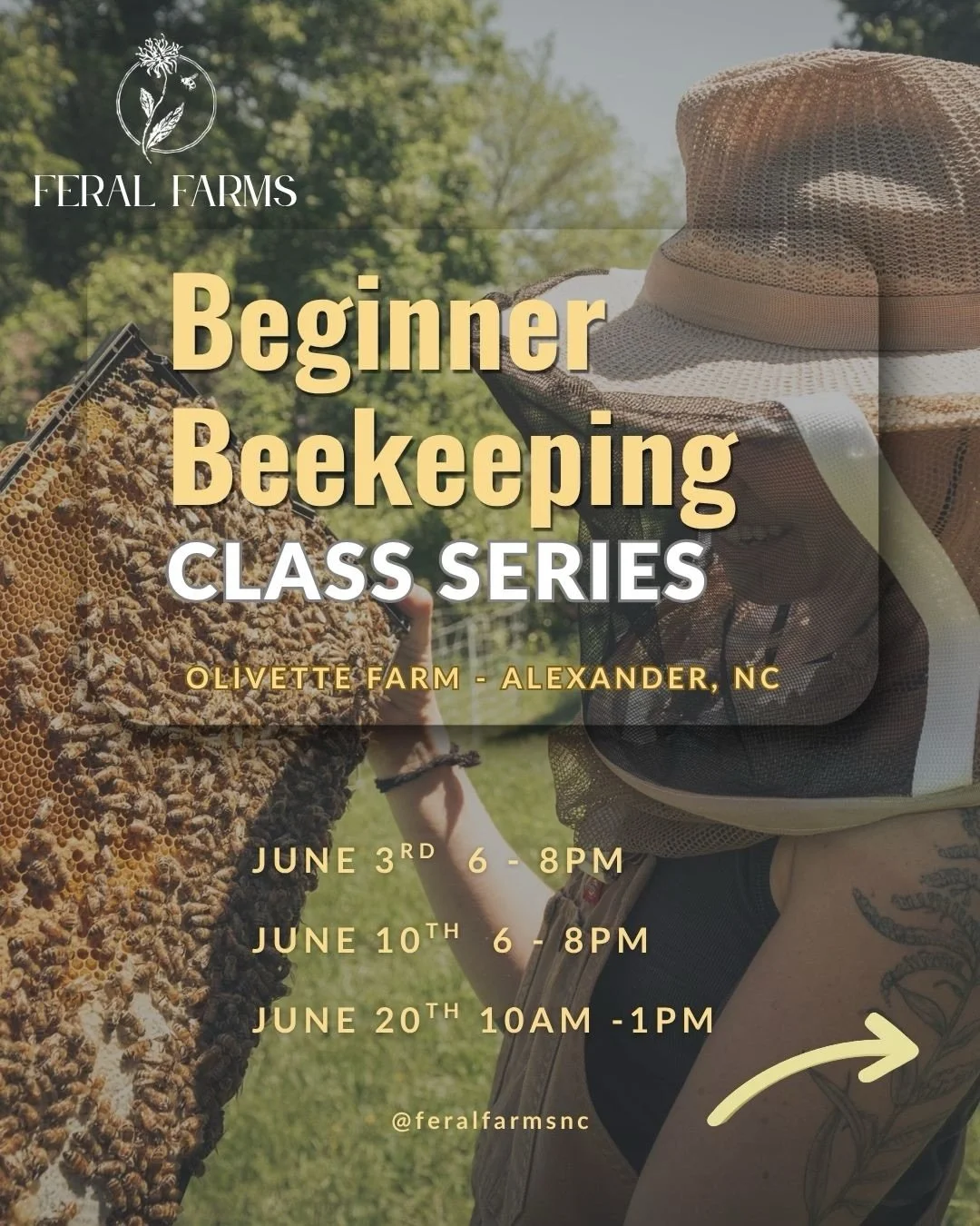 My next round of beginner beekeeping classes starts on Wednesday, June 3rd! This 3-part class series is a great way to get oriented to the complex and fascinating world of beekeeping. Learn more and sign up at the link in my bio! Dm or email feralfar