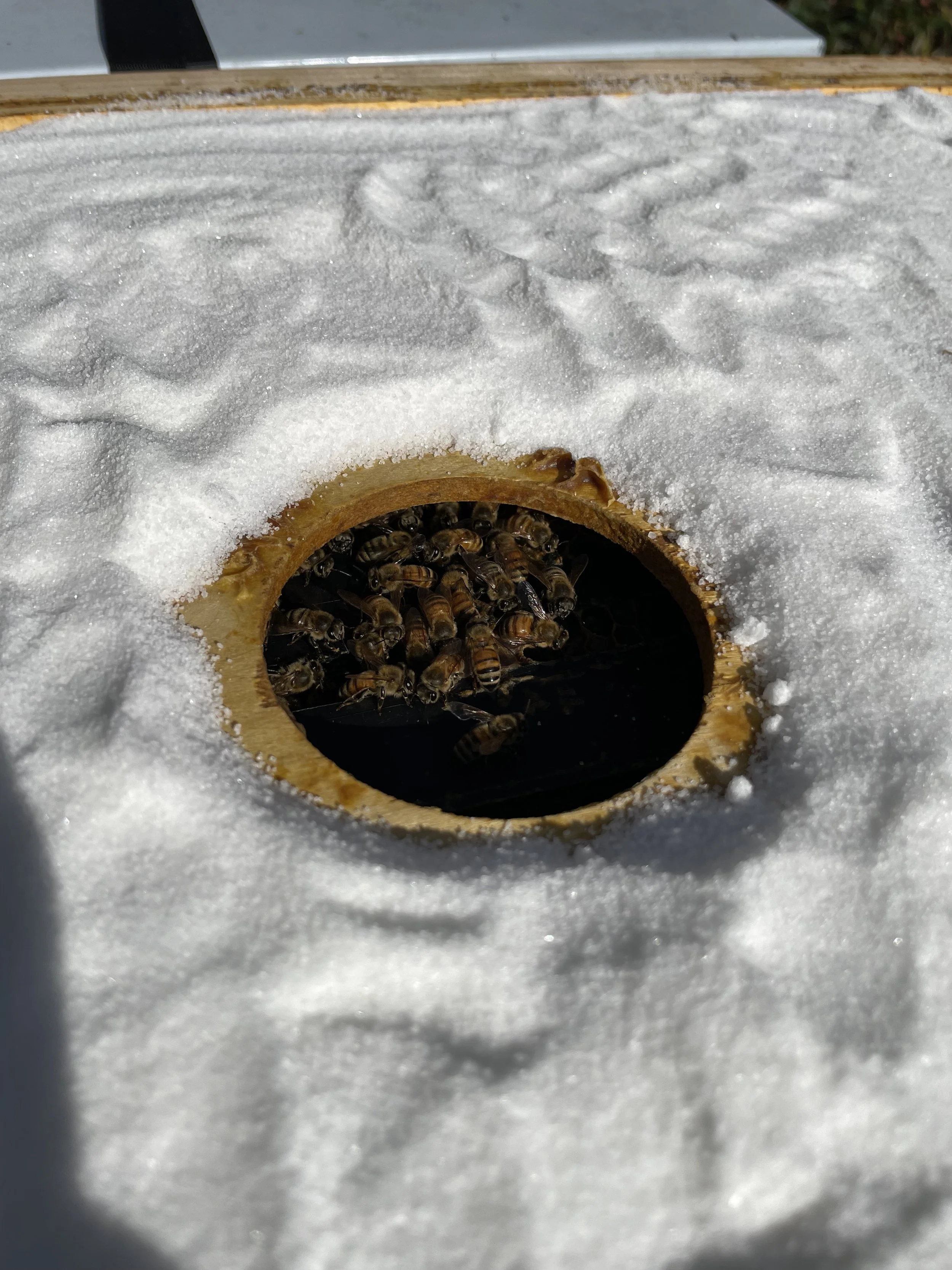 Winterizing Your Hives - Online Class