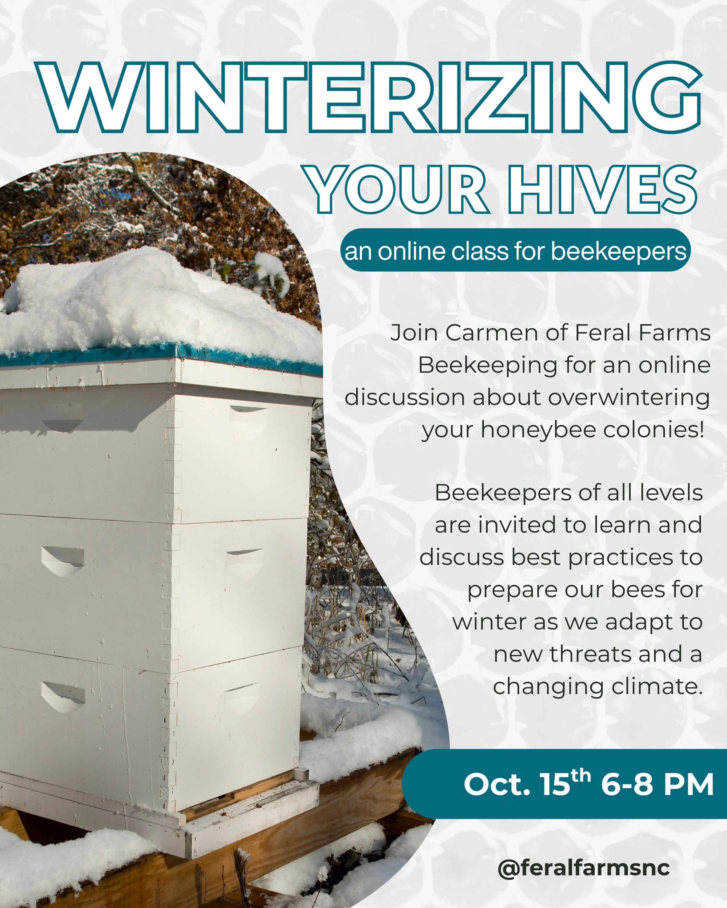 Winterizing 10:15.jpg
