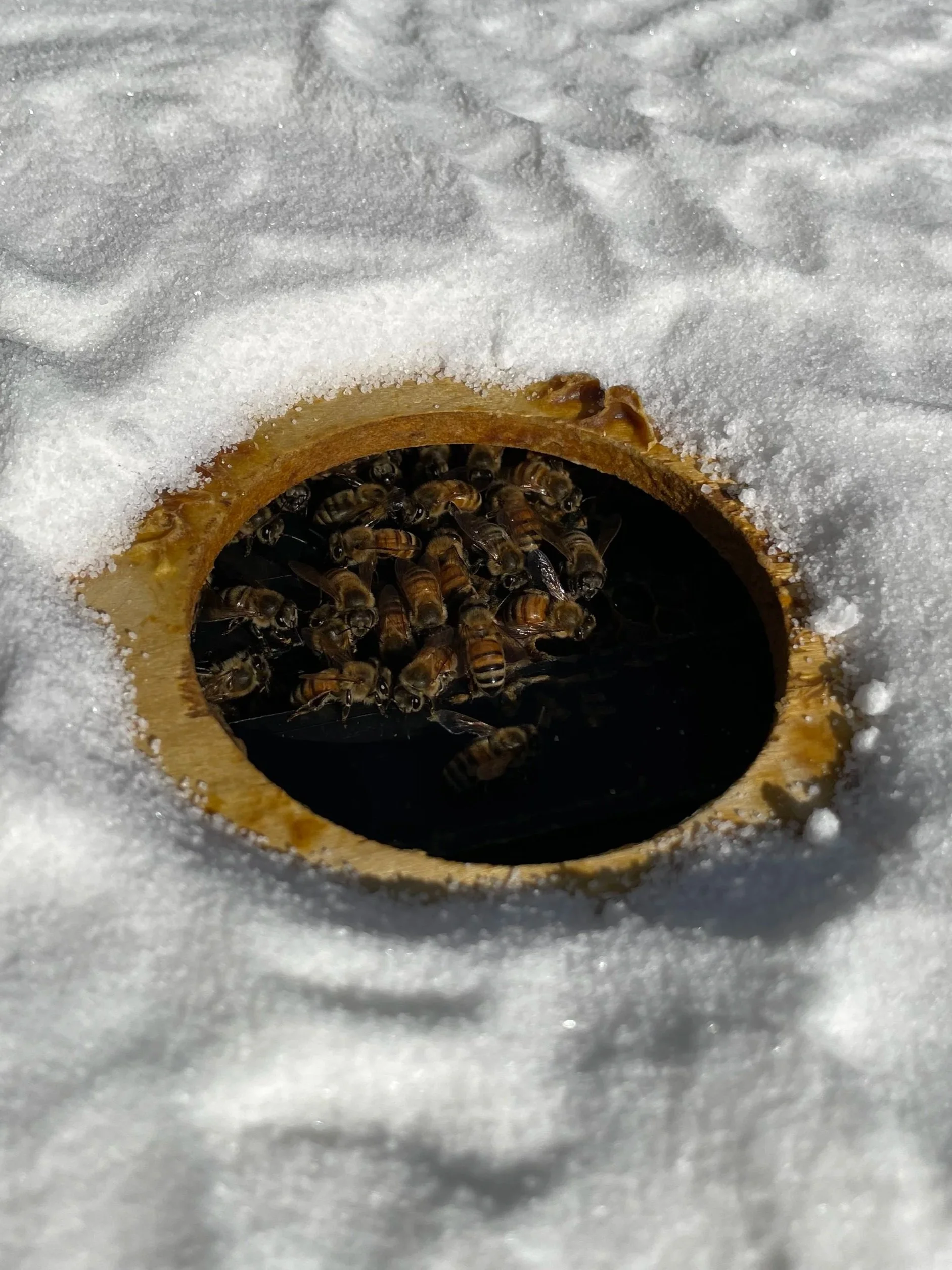 sugar+hole.jpg