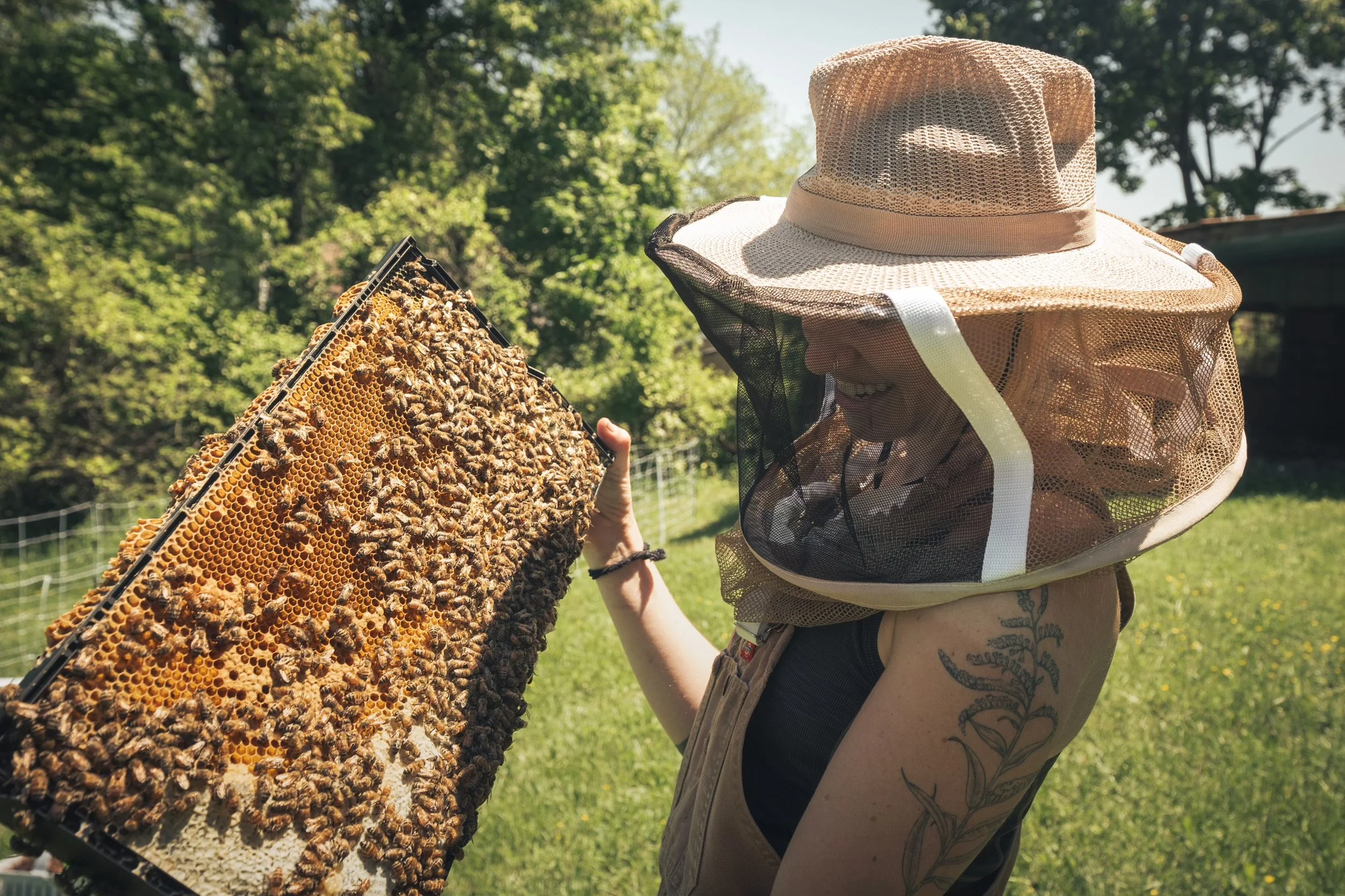A woman smiles while holding a frame of bees. She is wearing a beekeeping veil and has a goldenrod tattoo on her arm.