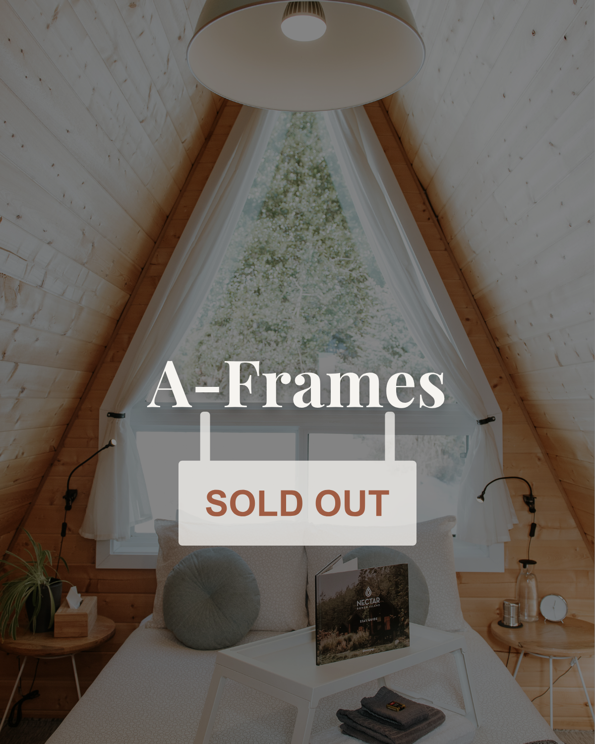 A-Frames (3).png