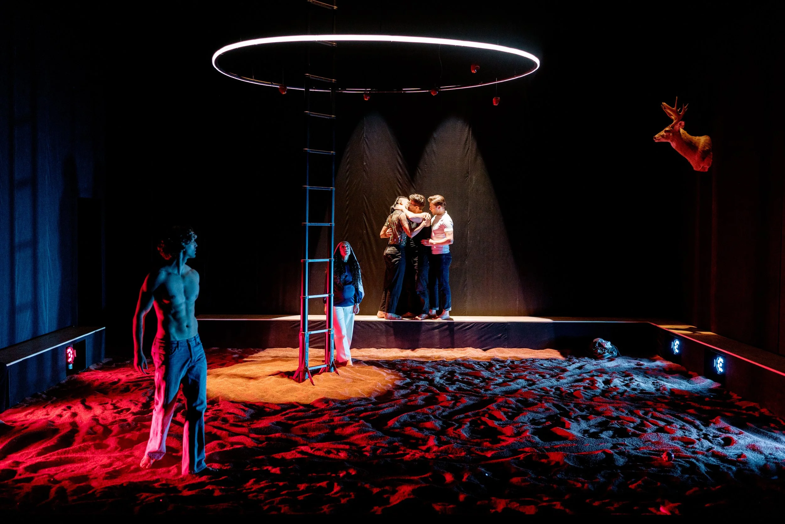 The Hooves Belonged to the Deer