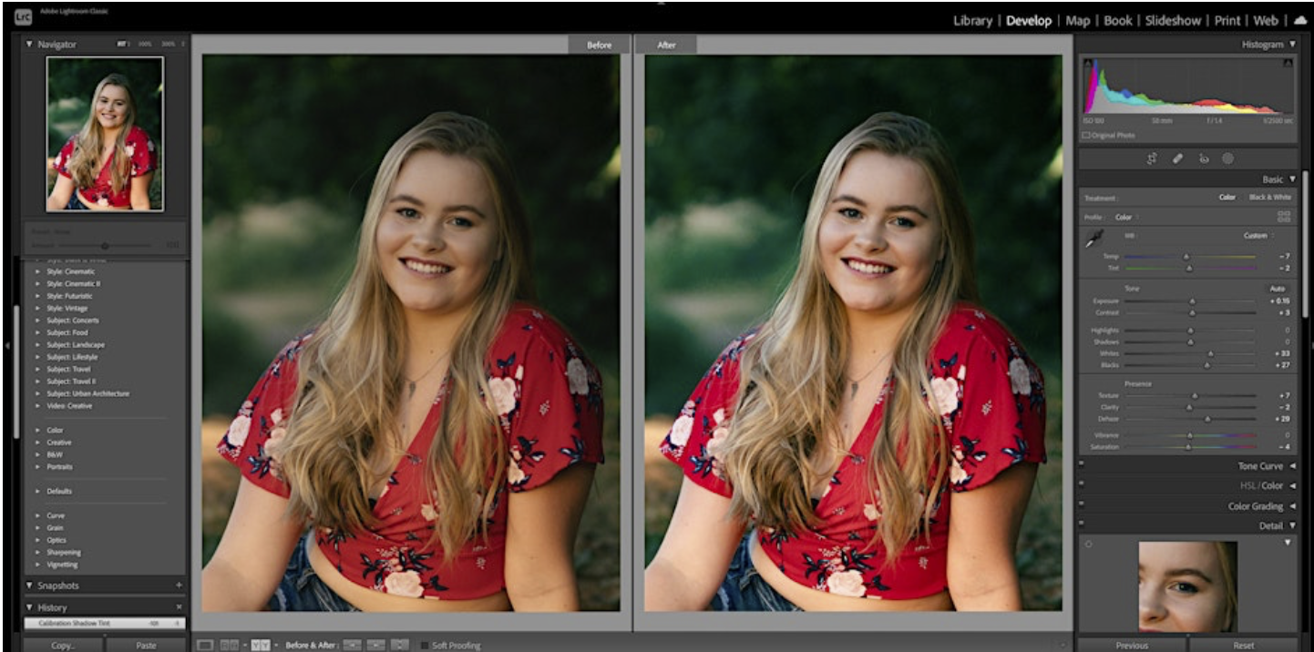 Lightroom Classic Develop 1: Basic Concepts ~ Sponsored by Glazer’s Camera