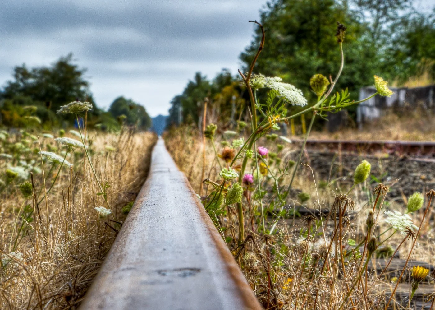 IMG_2903_4_5_tonemapped.jpg