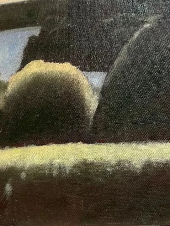 A partly visible yellow and black puppy laying on a surface, with its head turned away.