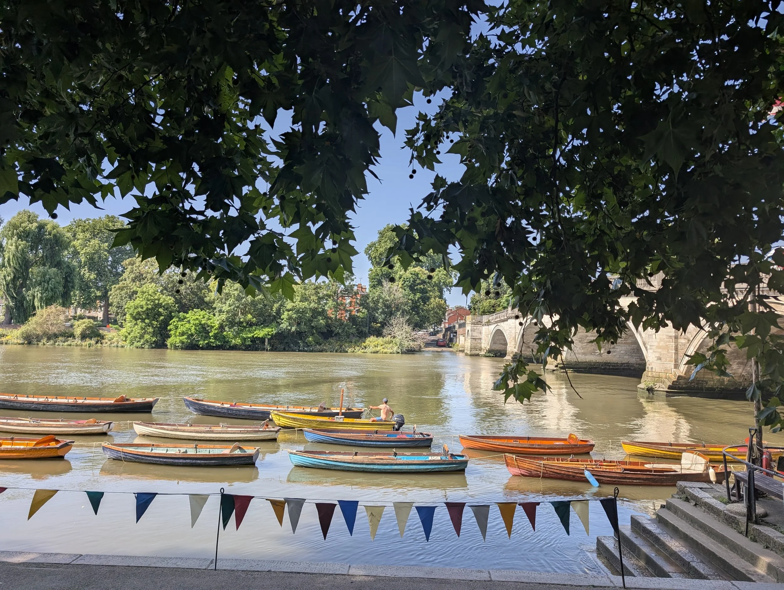 Colorful rowboats on a river, with a large leafy tree overhead and a stone bridge in the background.
