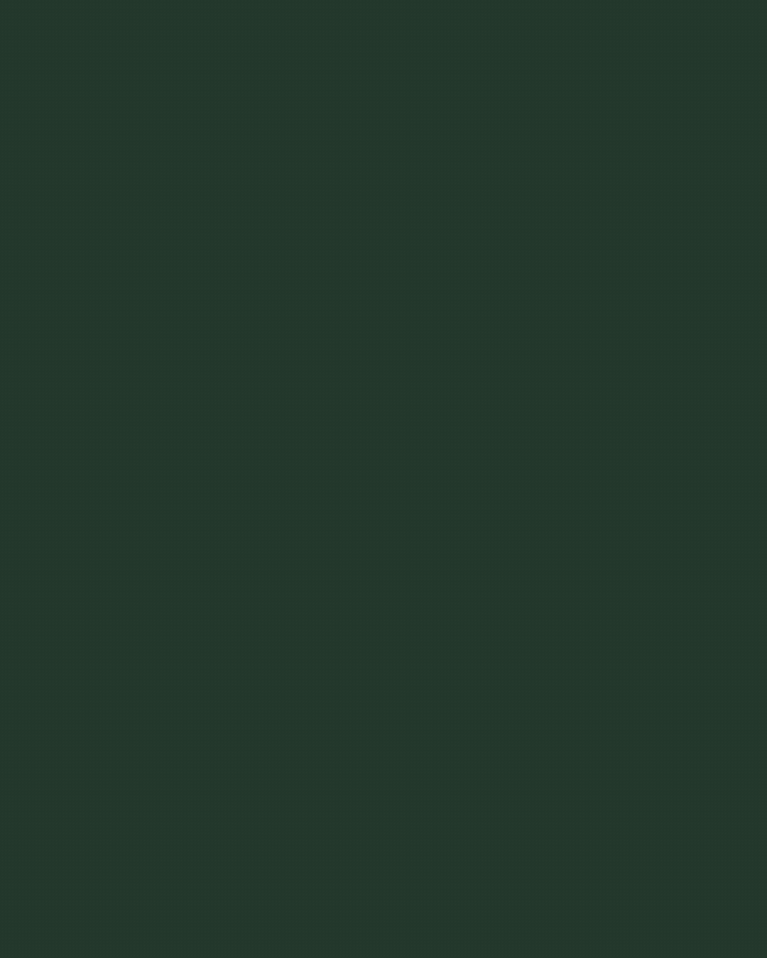 Rincon Instagram Gif 2 .gif