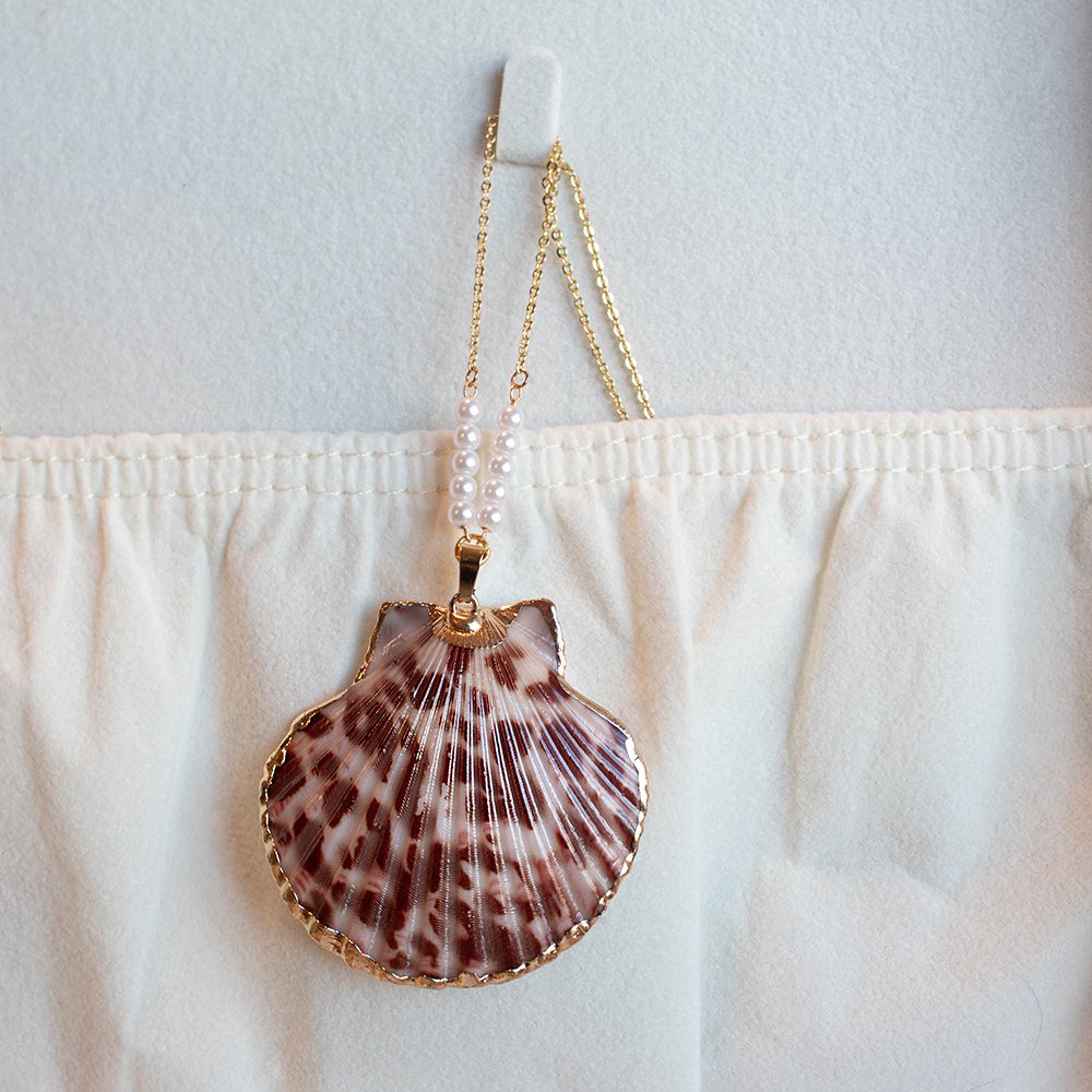 calico shell 1.1.jpg