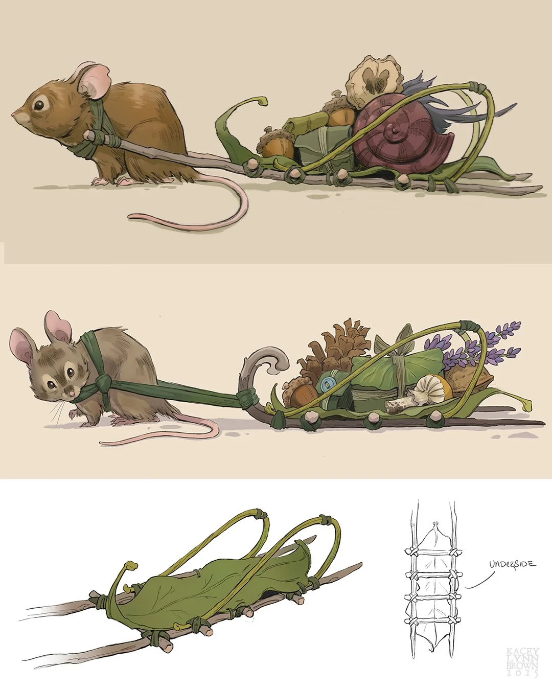 mouse1b.jpg