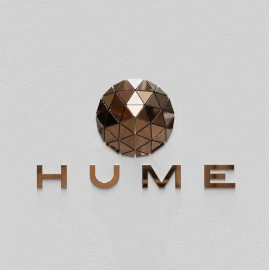 RTFIII-ID-HUME2-LOOP.gif