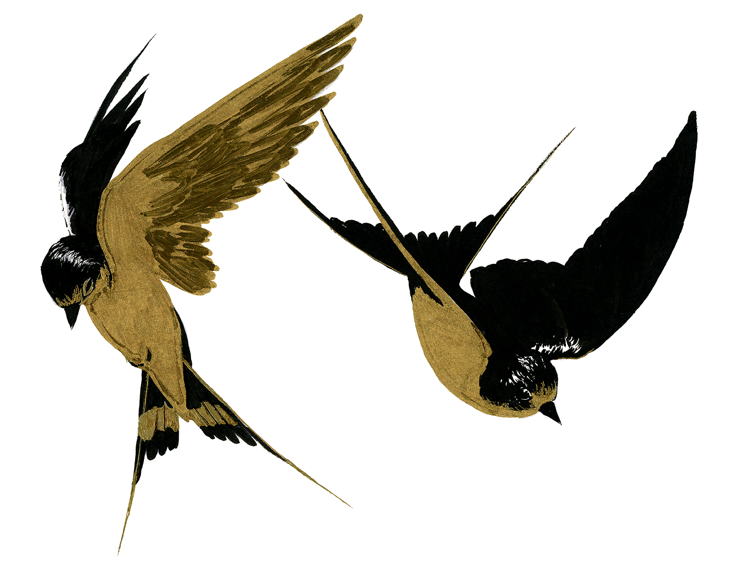 Kuuru_Sketches_010_sm.png