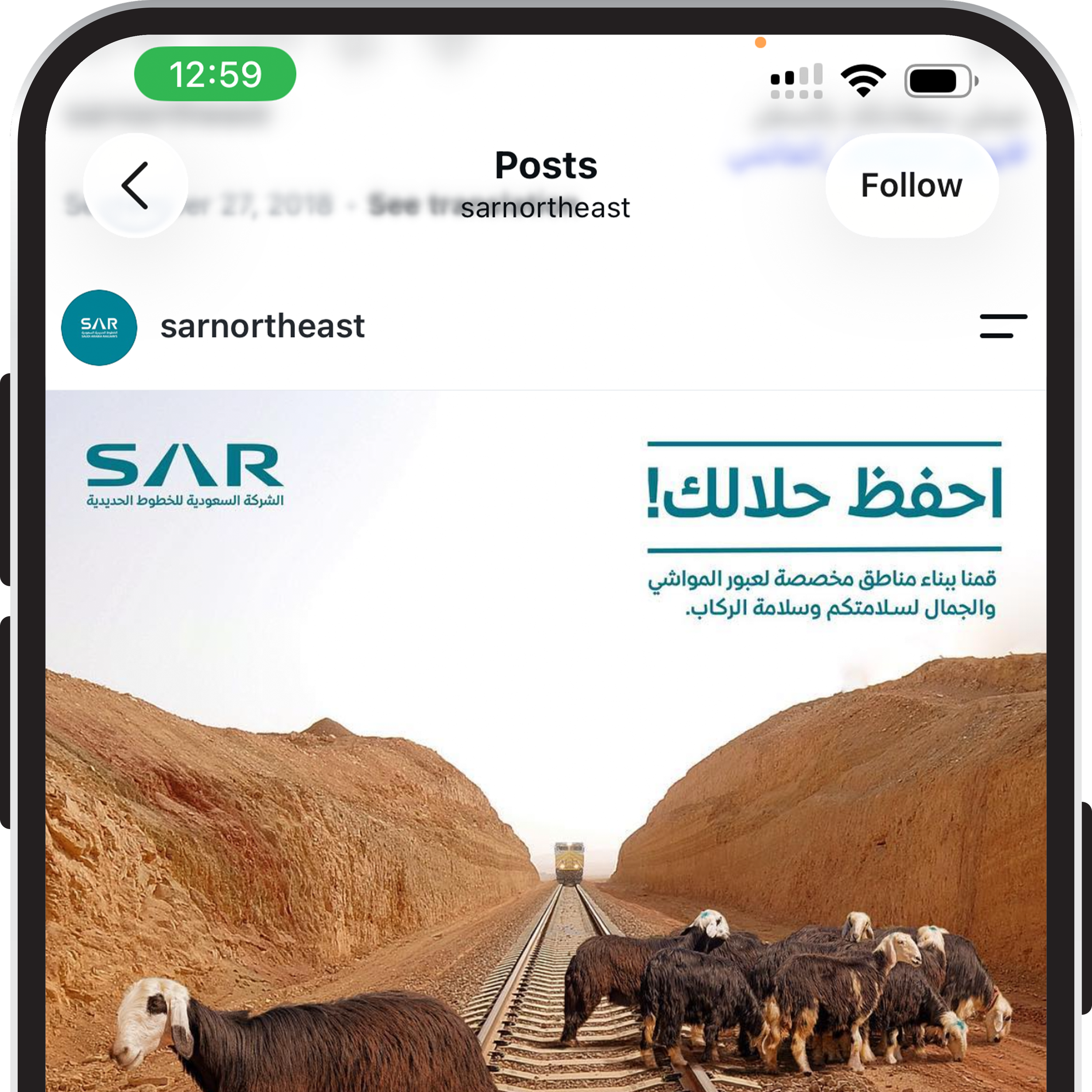 SAR (Social Media Posts)