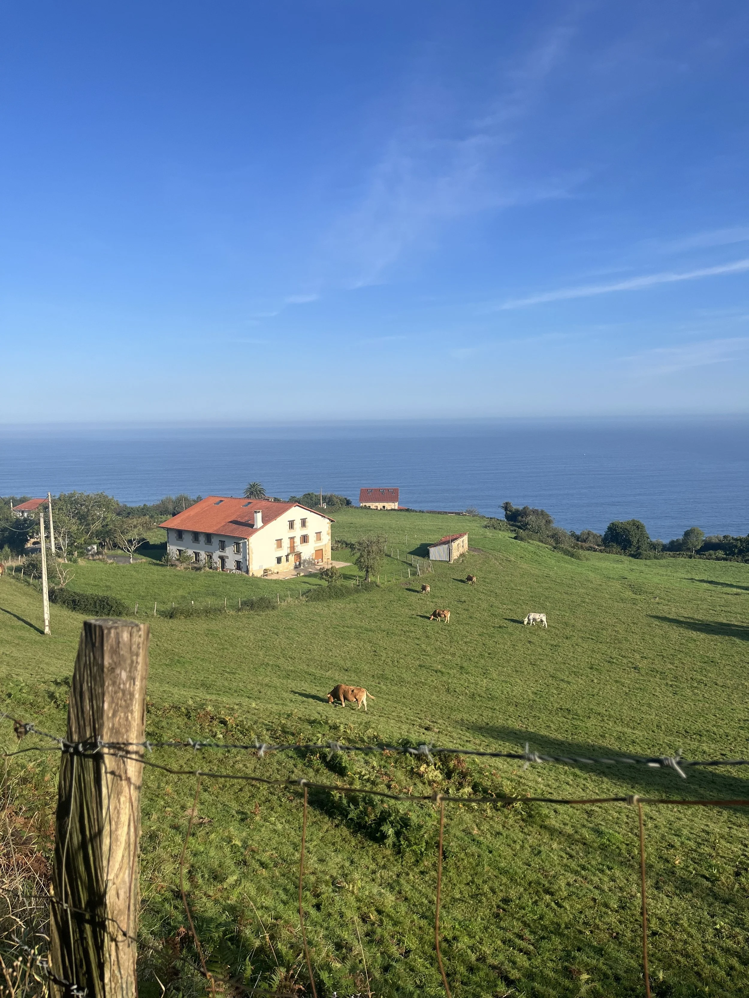 Life coach jilly - camino de santiago countryside.jpg