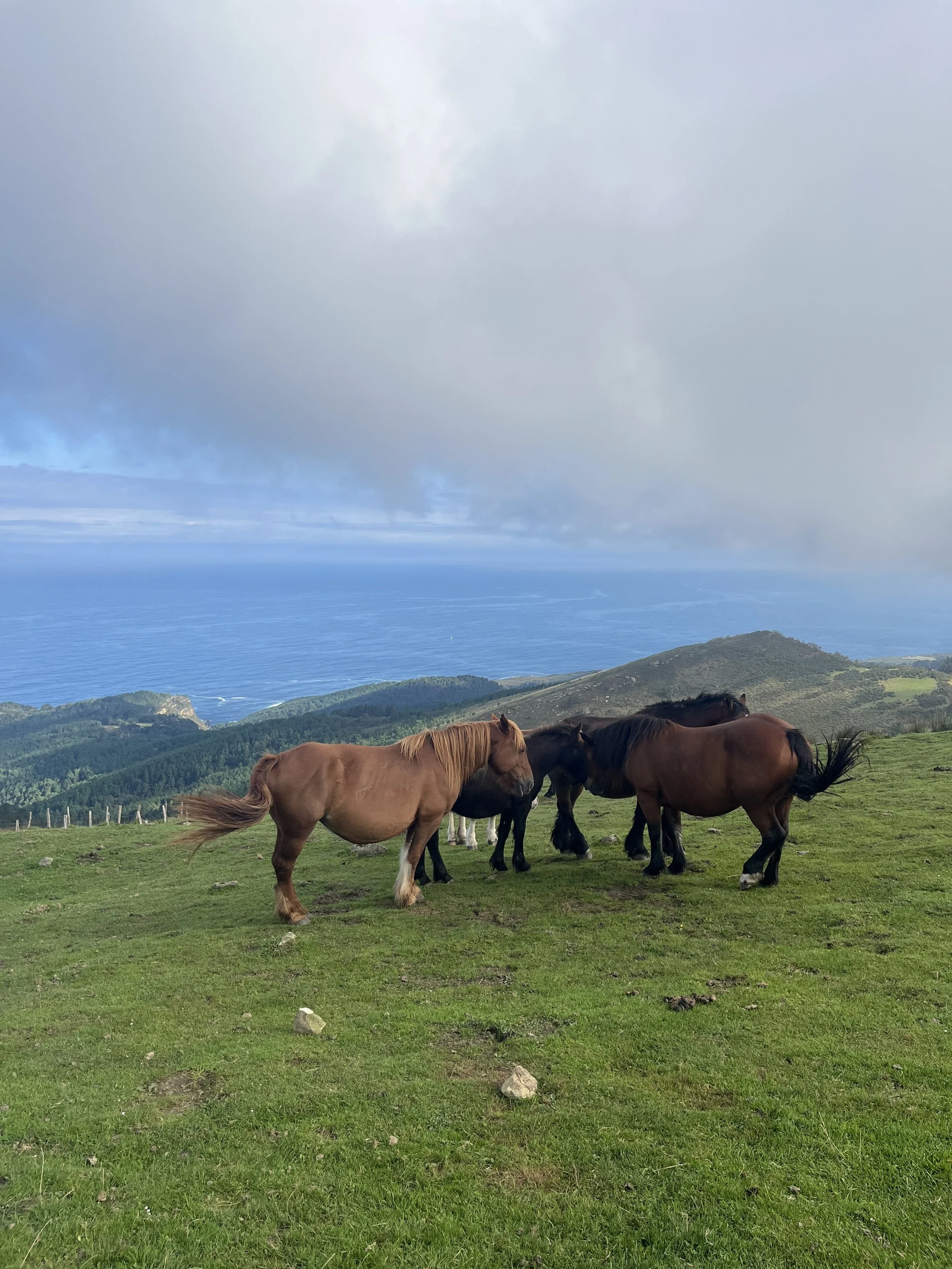 Focus on What Truly Matters: Go an Inch Wide and a Mile Deep