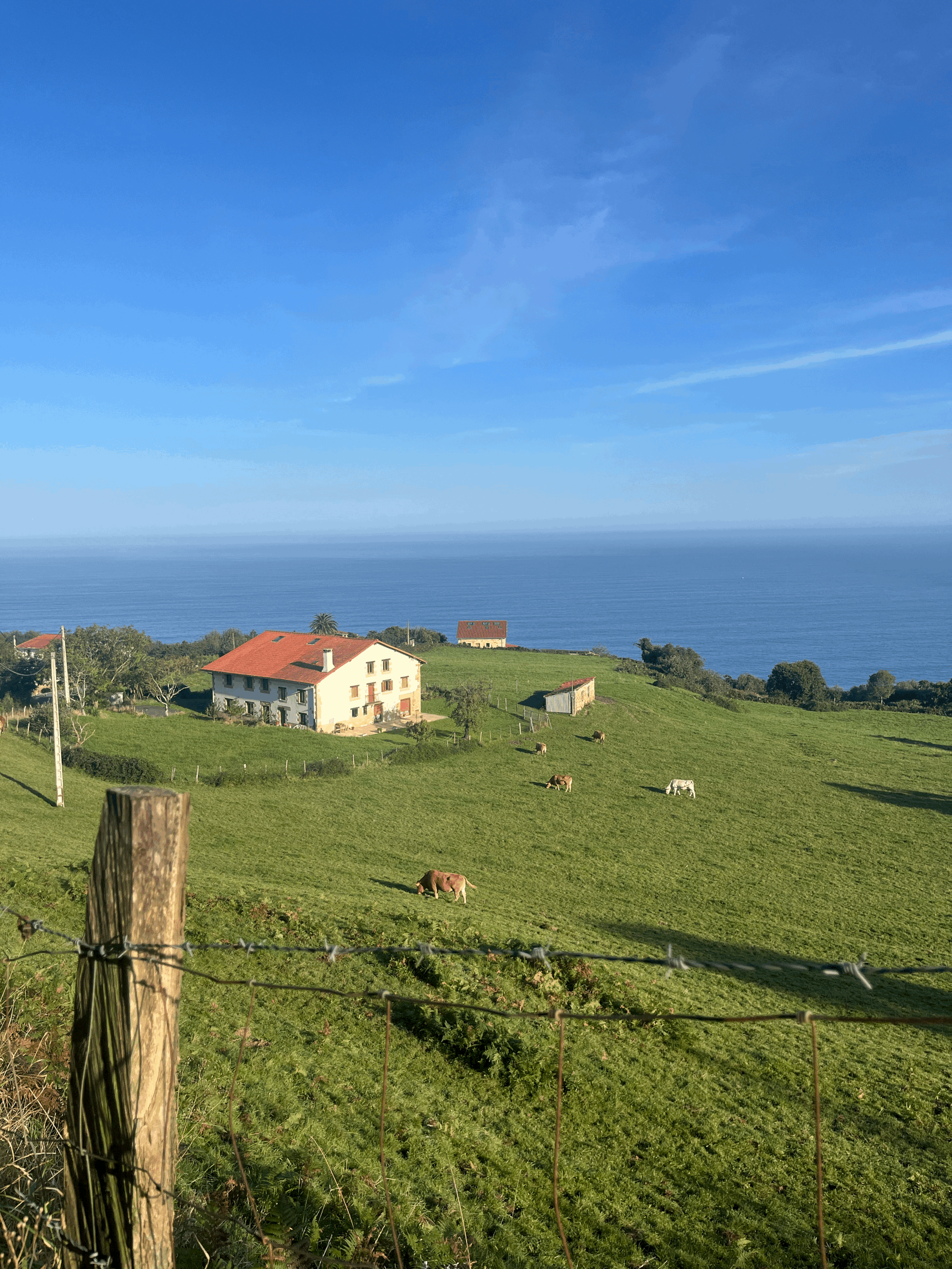 Feeling Stuck in Melbourne? Here’s Why (And What Actually Helps)