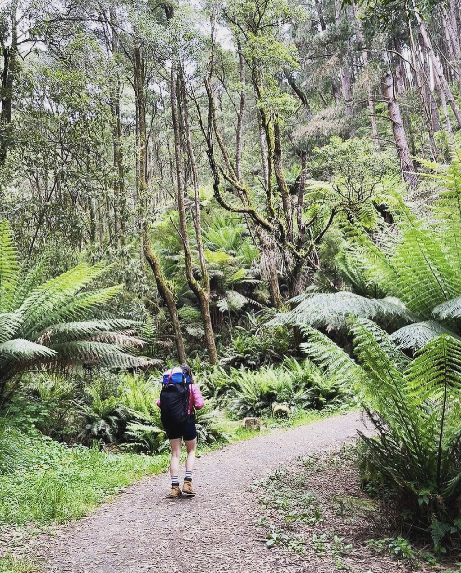 Feeling Stuck in Life? 5 Radical Ways a Life Coach in Melbourne Can Help You Move Forward