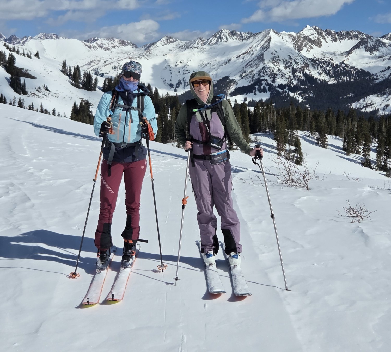 Nordic News - February 11, 2026