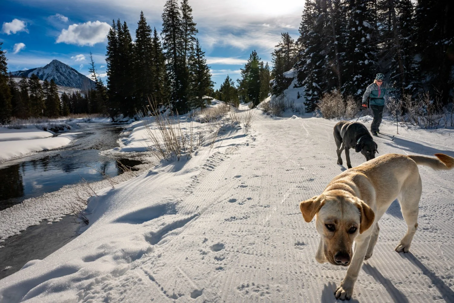 Nordic News - January 14, 2026