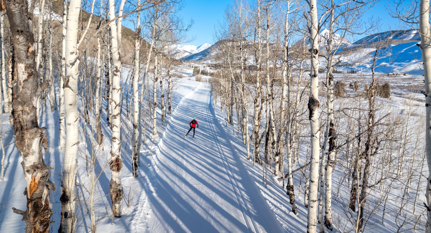 a skier in the aspens