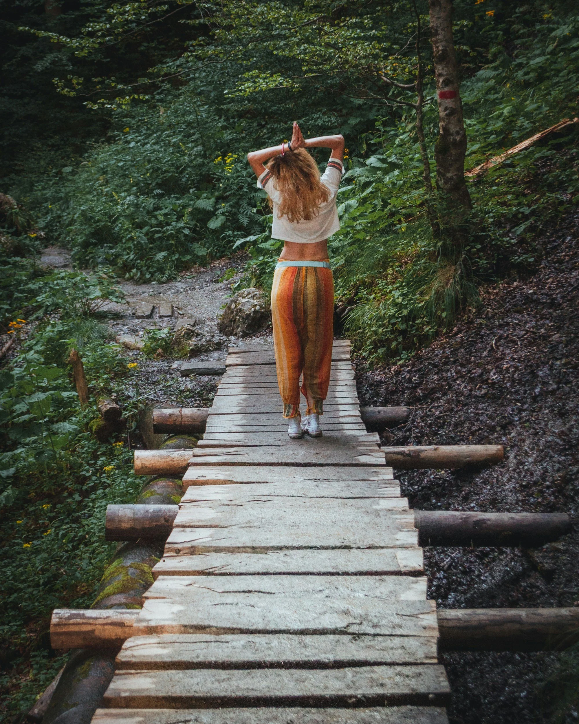 The ‘Gut-First’ Healing Myth: Why Some People Need to Fix Their Nervous System Before Their Microbiome