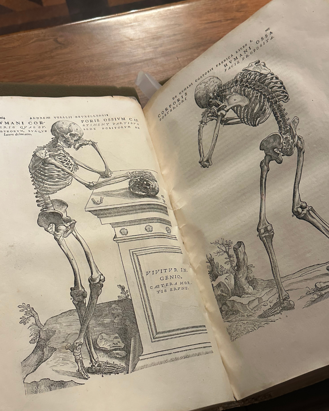 Visiting Vesalius