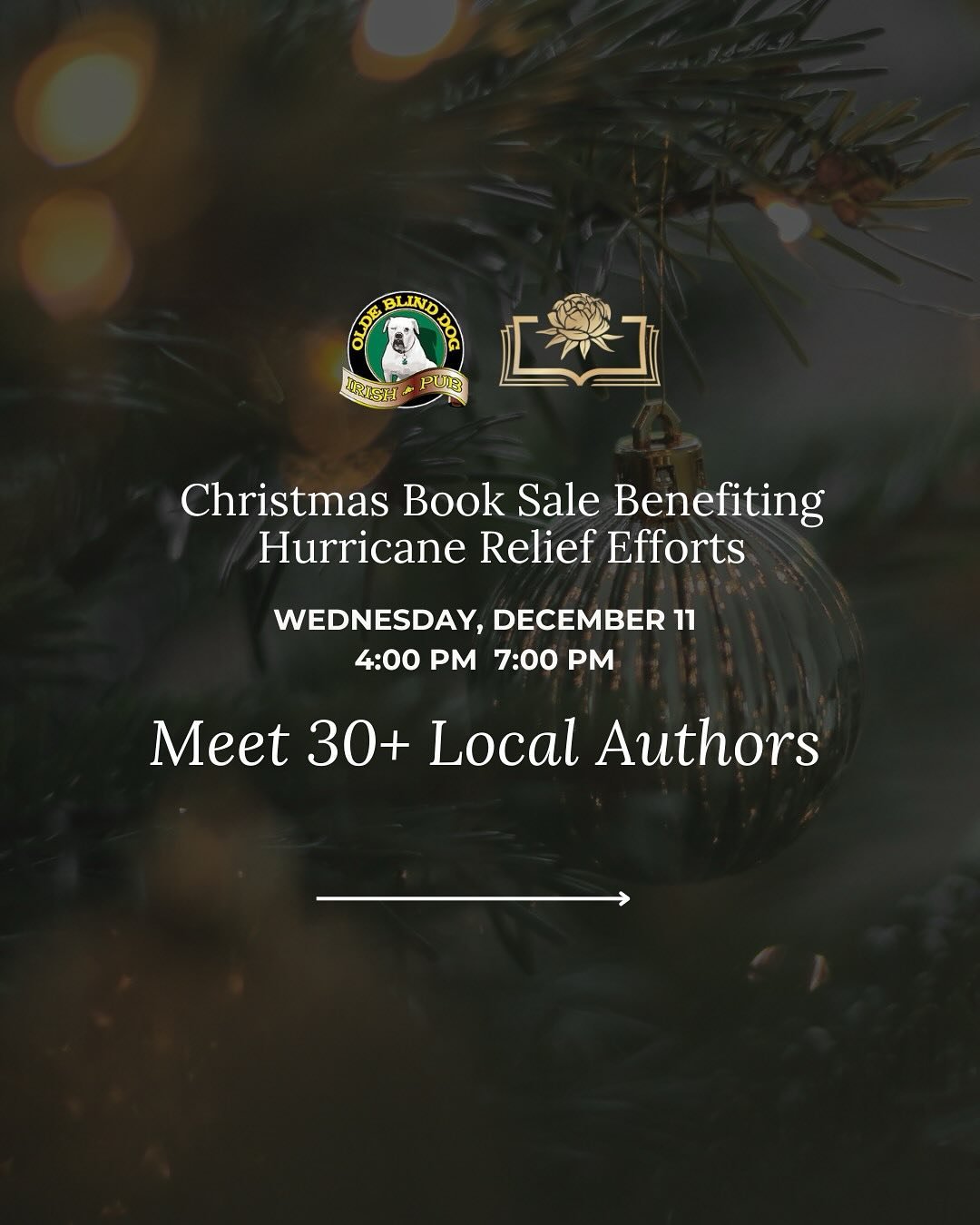 📚✨ The Poe &amp; Company Christmas Book Sale just got even better&mdash;more authors have joined us!

🎄 When: Wednesday, December 11, 2024
⏰ Time: 4:00 PM &ndash; 7:00 PM
🍺 Where: Olde Blind Dog Pub

With 30+ local authors now attending, this is t