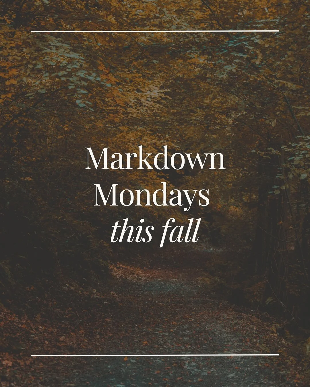 Make Mondays something to look forward to. 🍁

Each week this fall, enjoy 20% off a new category&mdash;from cozy cookbooks to fiction and gratitude journals.

#MarkdownMonday #PoeAndCompanyBookstore #MiltonGA