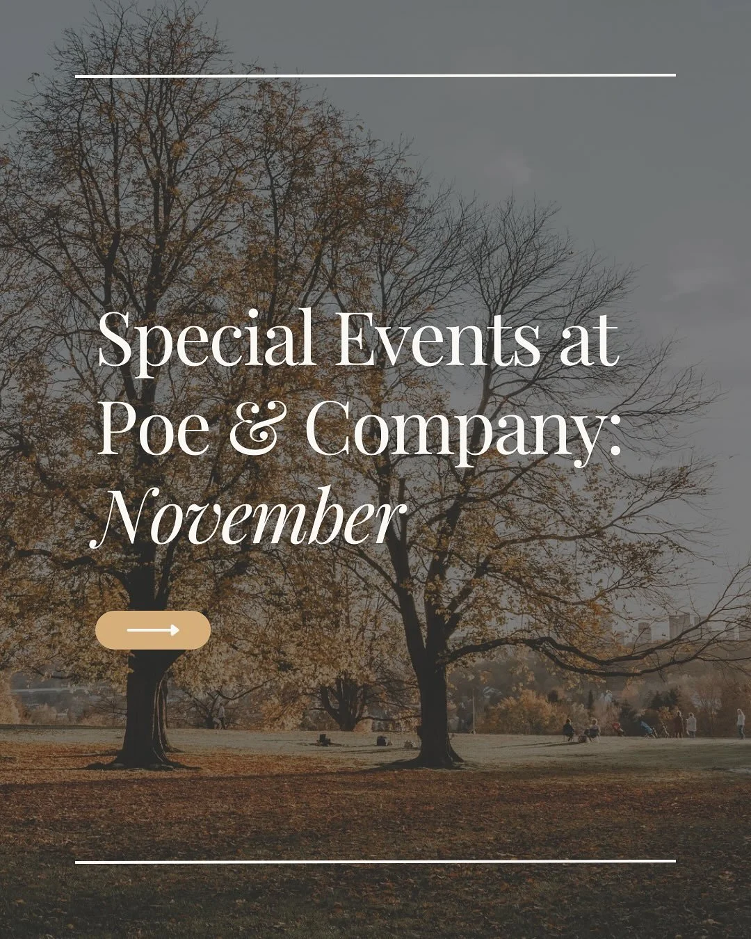 November is packed with events at Poe &amp; Company! 🍂
 From author talks and book launches to cozy clubs for readers and writers, there&rsquo;s something for everyone this month.

📚 Swipe through to see what&rsquo;s coming up and mark your calenda