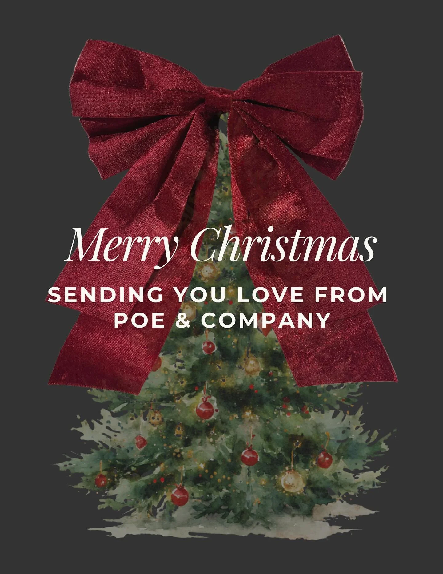 Merry Christmas from all of us at Poe &amp; Company! May your day be filled with good stories and lots of love. 🤍🎄

#poeandcompanybookstore #christmas #crabapplega #booklover #bookstore