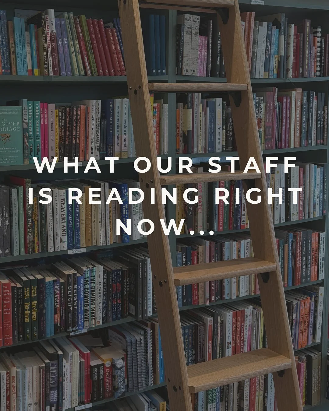 Our staff&rsquo;s current reads 📖✨
What should we be reading next? Comment below!

#poeandcompanybookstore #miltonga #crabapplega #booksofinstagram #smallbusinesslove