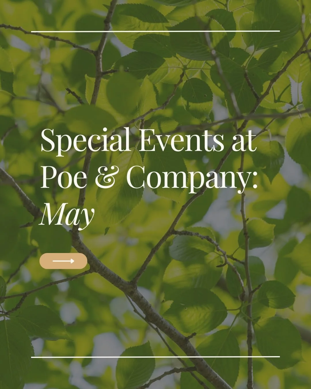 A new month means more fun reasons to stop by Poe &amp; Co!

May is packed with can&rsquo;t-miss moments we&rsquo;ve been looking forward to sharing with you. Take a scroll through what&rsquo;s ahead, save what catches your eye, and plan a visit or t