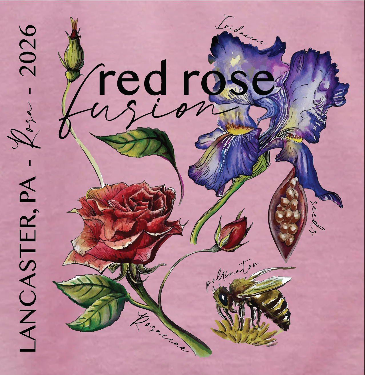 Screen Shot 2026-03-11 at 9.51.31 PM.png