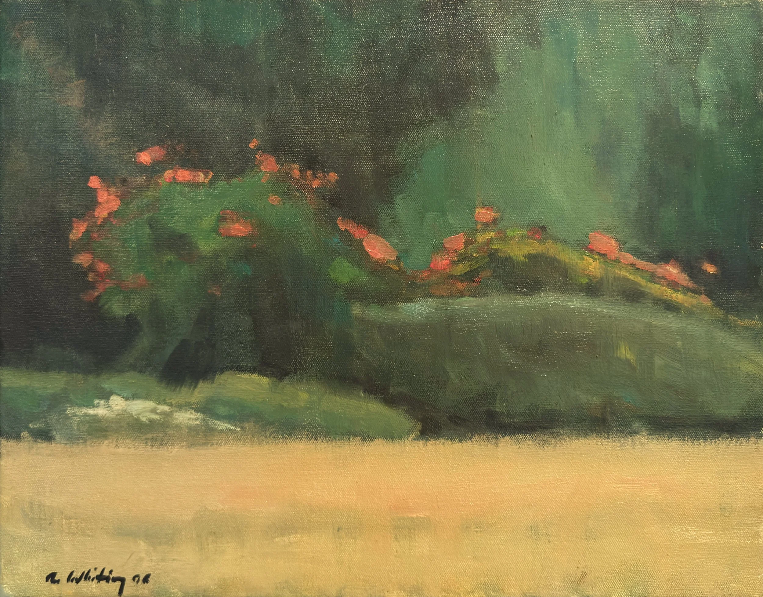 Campsis Grandiflora - 14" x 18"