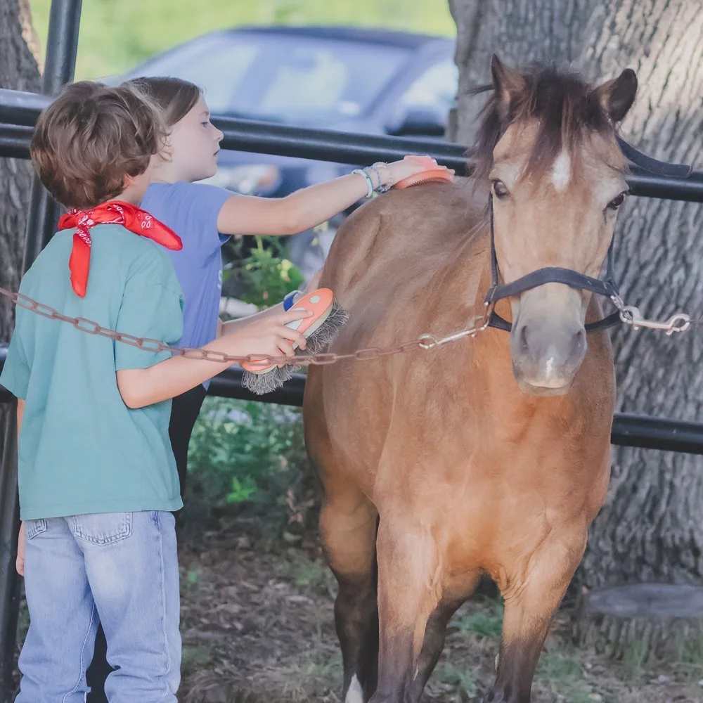 Rio Vista Farms photo 2