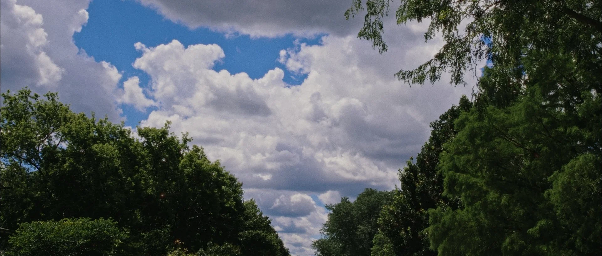 A view of a partly cloudy sky with various trees bordering the scene.