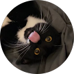 unnamed.png