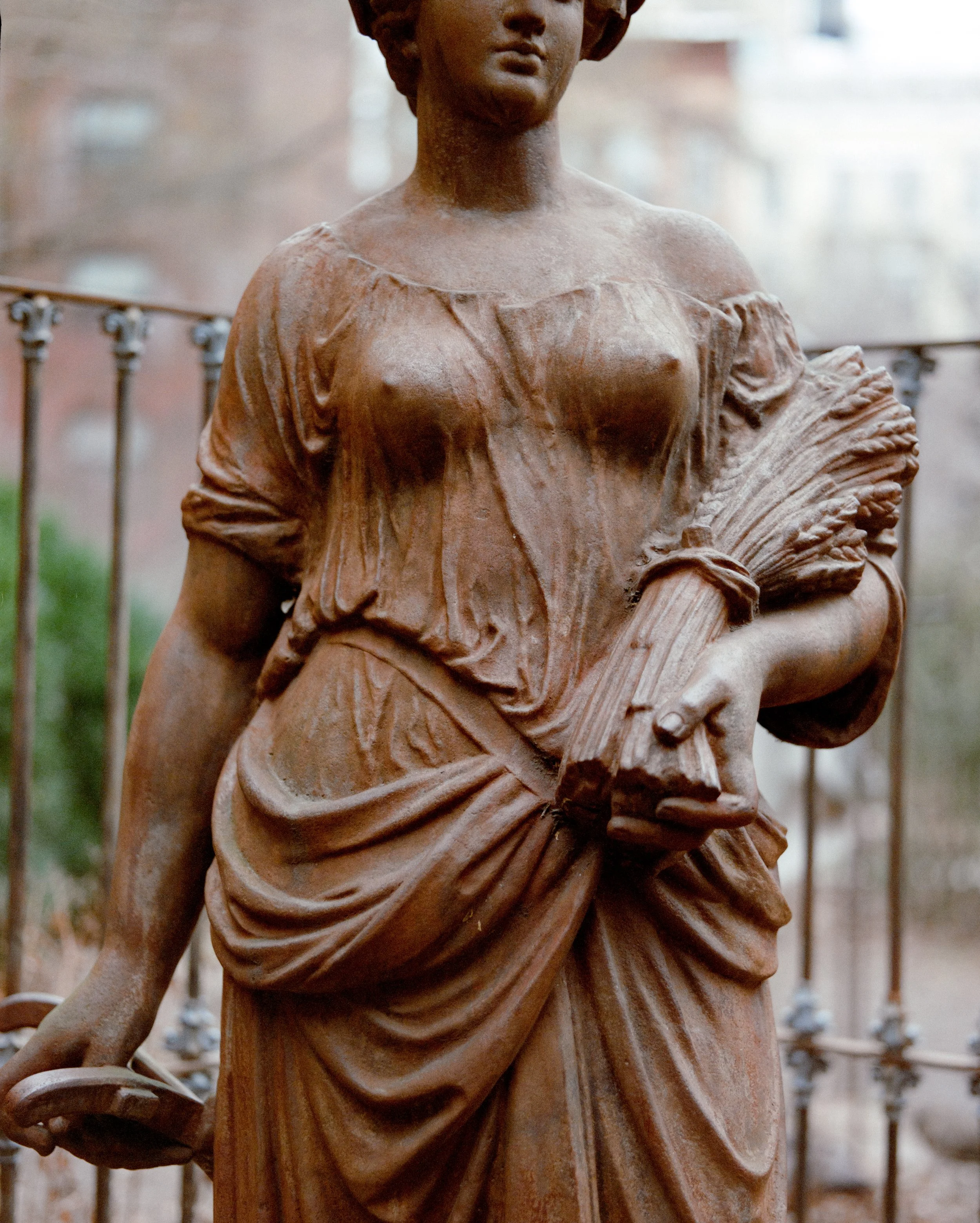 7346_CS 400D (120)-2.jpg