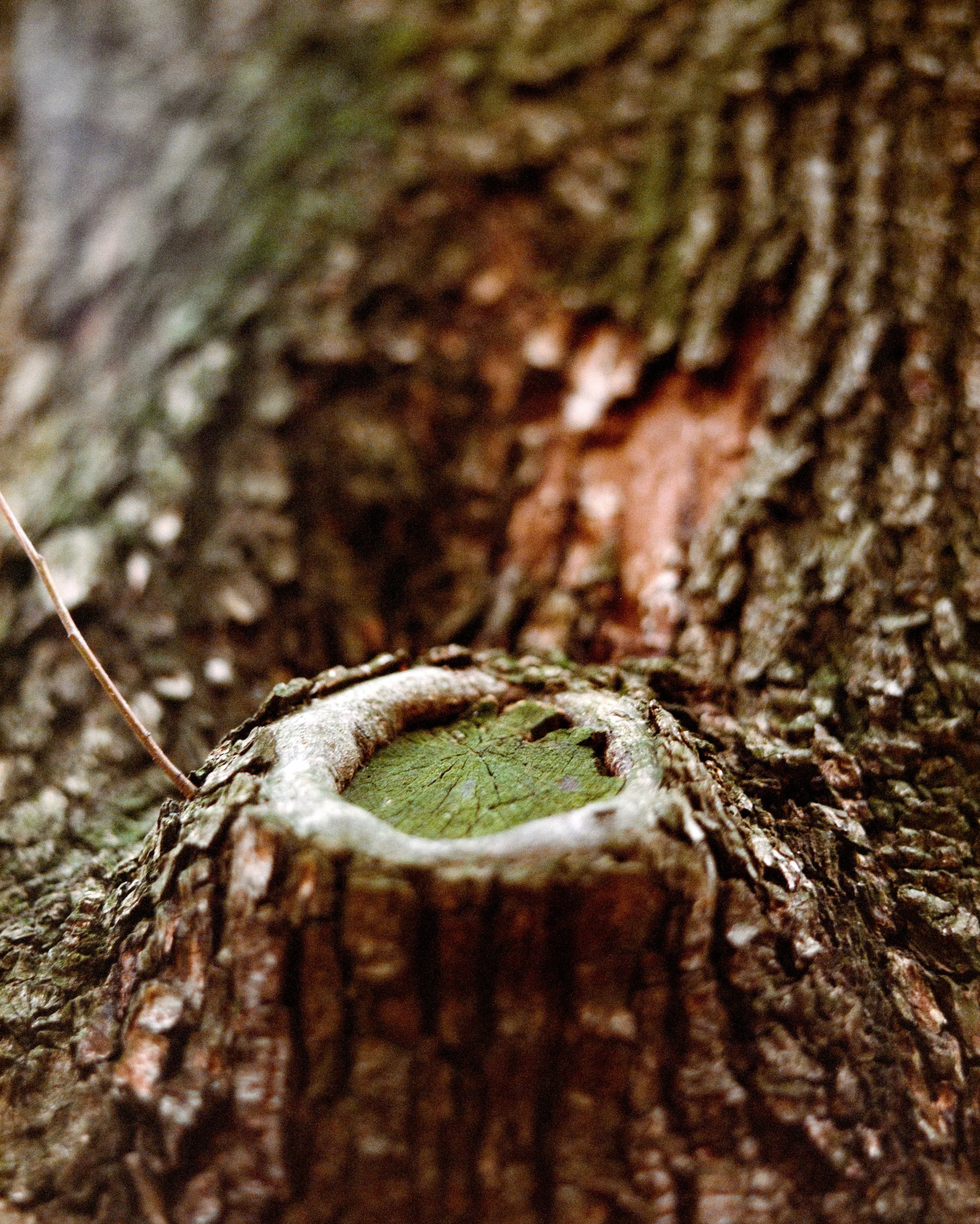 7346_CS 400D (120)-1.jpg