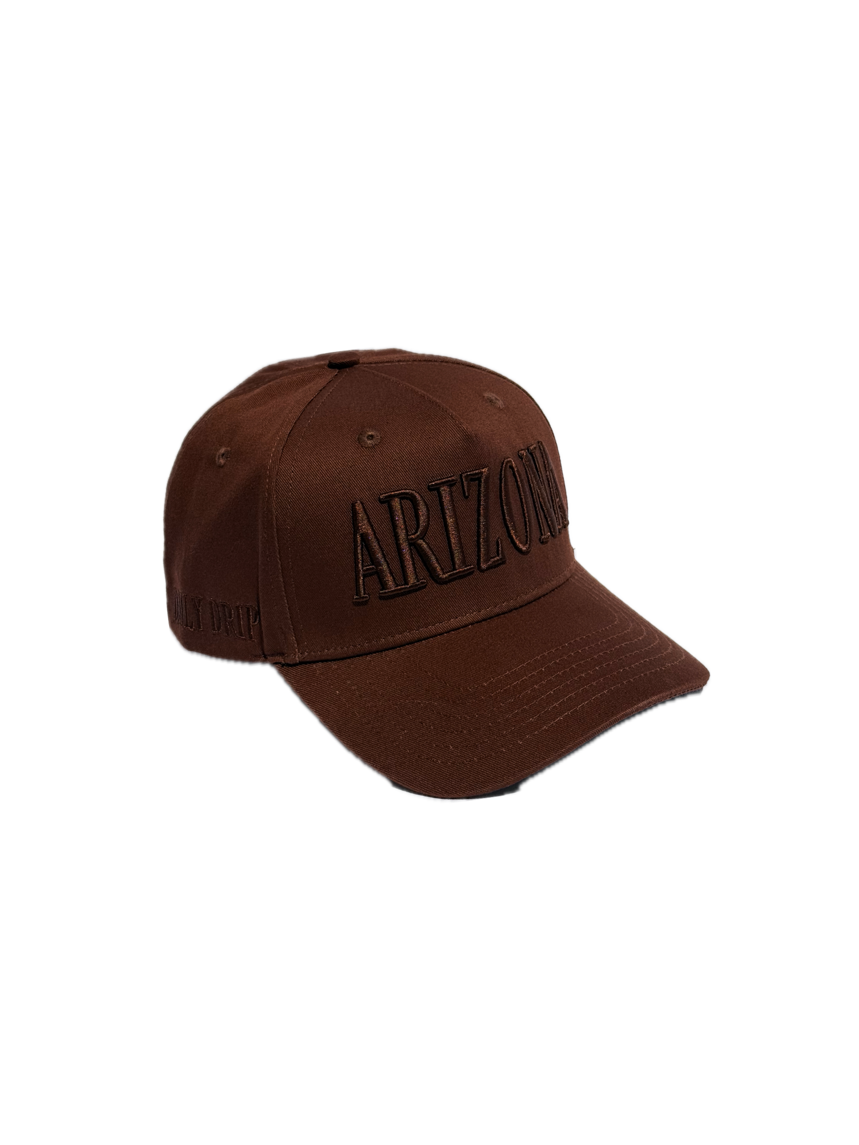 ARIZONA ALL BROWN HAT.png