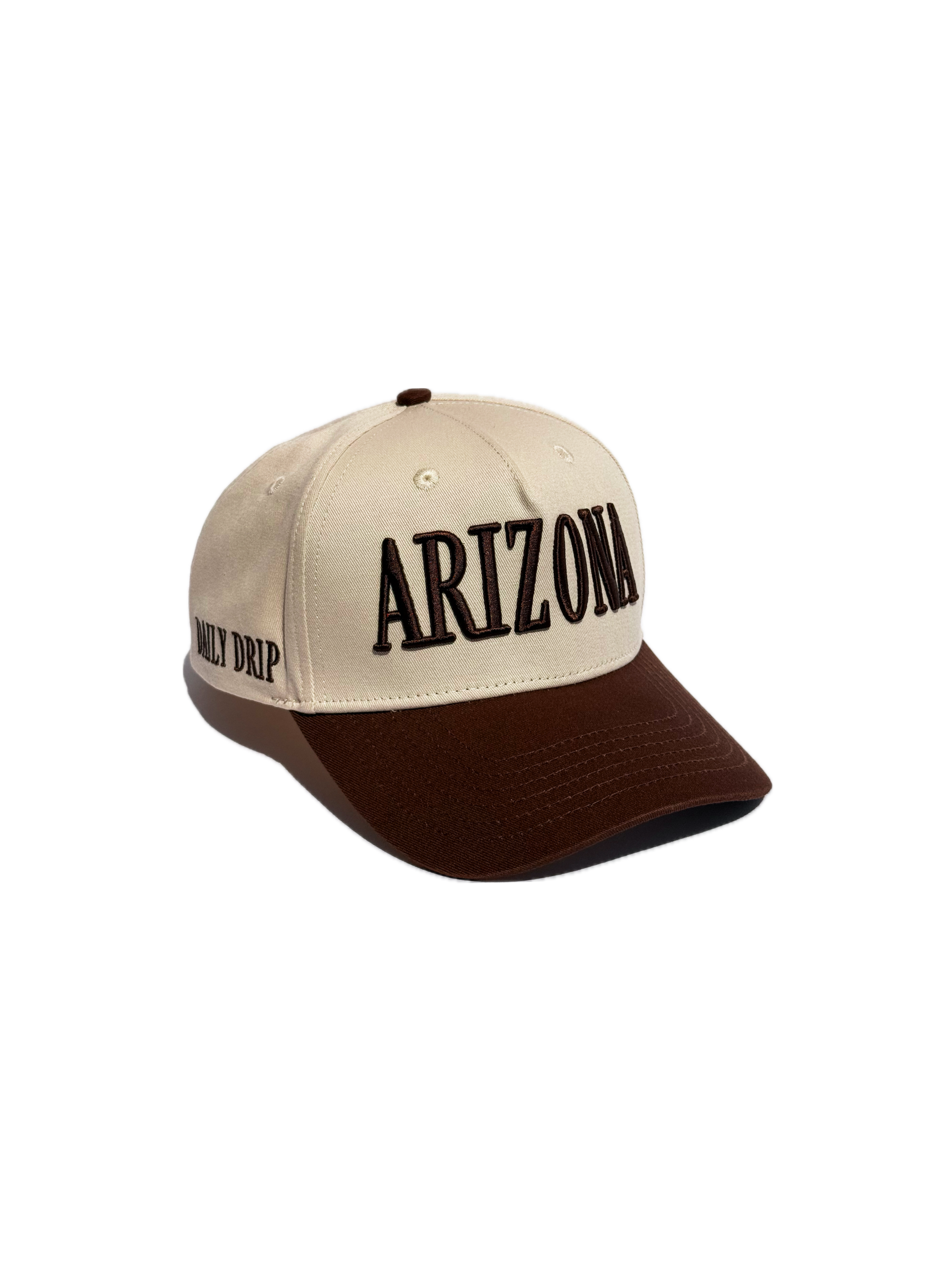 ARIZONA BROWN & CREAM HAT.png
